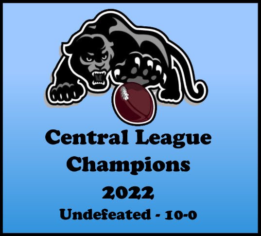 2025 CENTRAL LEAGUE STANDINGS visual data 7